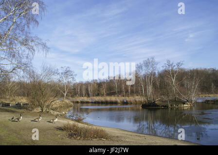 Lago d'argento a Norimberga, Baviera Germania Foto Stock