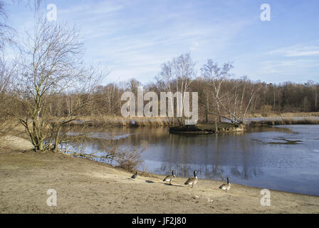 Mare d'argento a Norimberga, Baviera Germania Foto Stock