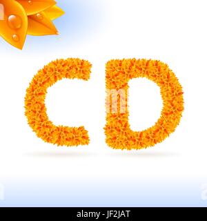 Tipo, scrivere, scrisse, scrittura, scrive, modello costruire, leaf, eco, l'ambiente, Illustrazione Vettoriale