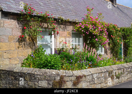 Garden Cottage, Chatton, Northumberland Foto Stock