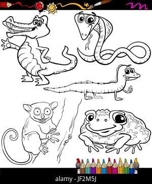 Animale, lizard, coccodrillo, carattere, Toad, cobra, cartoon, ridere, risate, Illustrazione Vettoriale