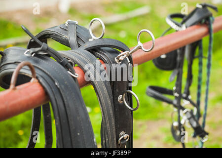 Cablaggio del cavallo appeso sulla ringhiera del ranch Foto Stock