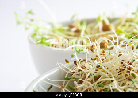 Close up (macro) di beansprouts in un bianco cina ciotola, con un ulteriore recipiente in soft focus dietro di esso. Foto Stock