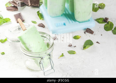 Gelato fatto in casa. Estate dessert. Ghiaccioli rinfrescanti con la menta e cioccolato. Tutto il gelato in stampi, uno senza di essa in primo piano. Su Foto Stock