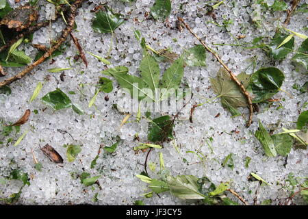 Chicchi di grandine sul terreno come sfondo Foto Stock