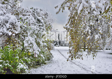 In autunno il parco della città sotto la prima neve. Foto Stock