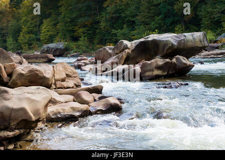 Vista del fiume Cheat rapids vicino Albright Foto Stock