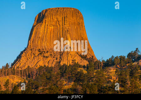 Alba sul Devil's Tower National Monument in Wyoming. Devils Tower sorge a 1267 metri sopra il Belle Fourche fiume. Essa è stata formata da erosione. Foto Stock