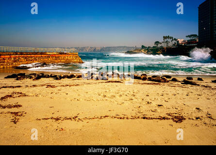 Seal Beach a La Jolla, California Foto Stock