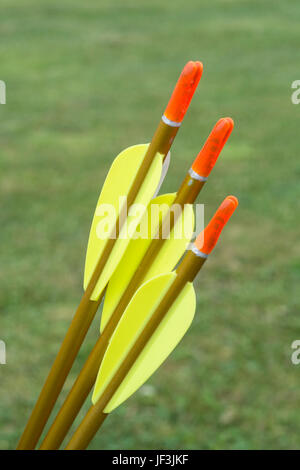 Fletchings, nocks e gli alberi sul tiro con l'arco moderno frecce - possibile metafora per il business il concetto di destinazione. Foto Stock