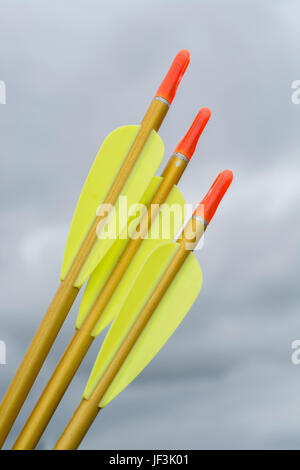 Fletchings, nocks e gli alberi sul tiro con l'arco moderno frecce - possibile metafora per il business il concetto di destinazione. Foto Stock