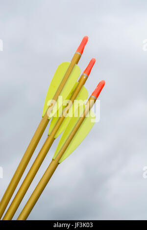 Fletchings, nocks e gli alberi sul tiro con l'arco moderno frecce - possibile metafora per il business il concetto di destinazione. Foto Stock