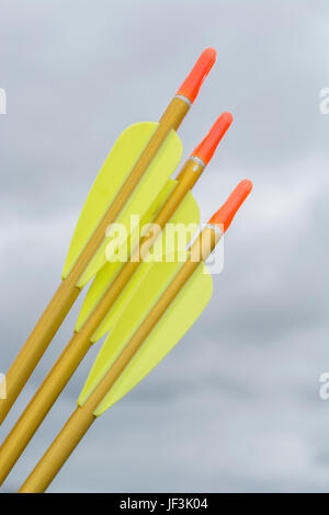 Fletchings, nocks e gli alberi sul tiro con l'arco moderno frecce - possibile metafora per il business il concetto di destinazione. Foto Stock