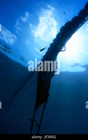 Rete da pesca dal profondo Foto Stock