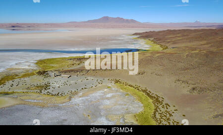 Salar de Tara presso il deserto di Atacama, Cile Foto Stock
