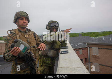 Cpl. Daniel A. Reyes (sinistra), un giunto incendi osservatore con 3° Brigata, 3° aria Naval spari Liaison Company, quartier generale della forza di gruppo, forze Marine Riserva, sottolinea le caratteristiche del terreno per esercito canadese Capt. Ethan McDonald (a destra), un terminale comune centralina di attacco con Y batteria, 2° Reggimento, Royal Canadian cavallo artiglieria, al Canadian manovra Training Center in Wainwright, Alberta, Canada, durante l'esercizio Maple risolvere 17, 25 maggio 2017. Durante l'esercizio Marines dal 3° ANGLICO lavorato con l'esercito canadese, chiamando l'artiglieria simulato di bersagli prepianificato. Foto Stock