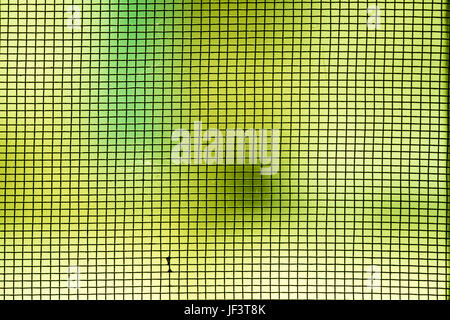 Abstract foto sfocate di zanzara filo schermo,grid closeup su sfondo verde. Foto Stock