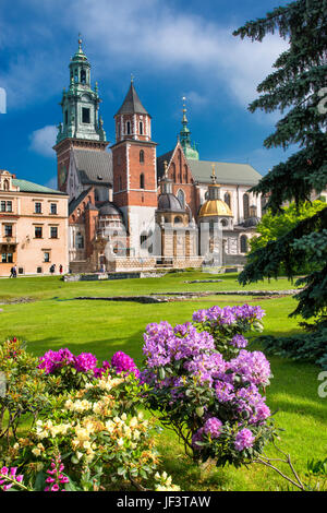 Cattedrale di Wawel nel Castello reale di area Foto Stock