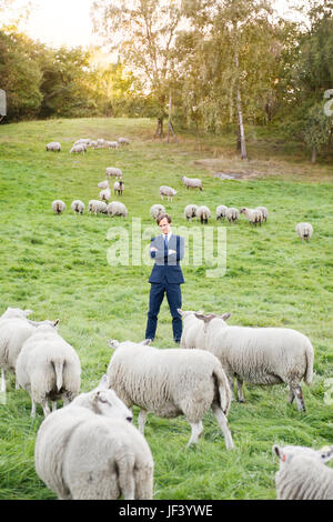 Imprenditore in piedi su pascolo tra ovini Foto Stock