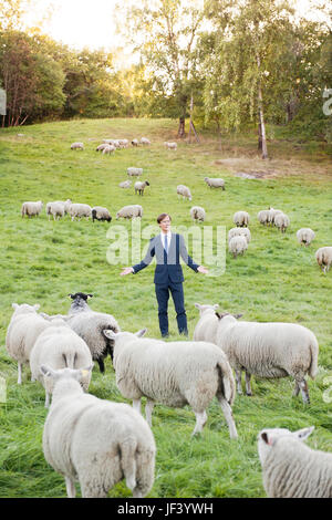 Imprenditore in piedi su pascolo tra ovini Foto Stock