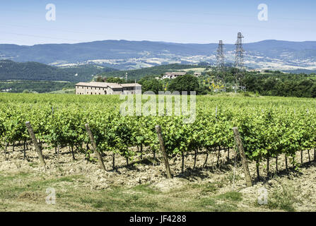 Le piantagioni di vite e agriturismo in Toscana. Foto Stock