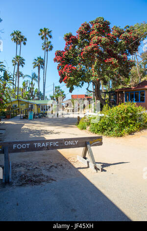 La strada che conduce al Crystal Cove storico quartiere parte del Crystal Cove stato Parco California USA Foto Stock