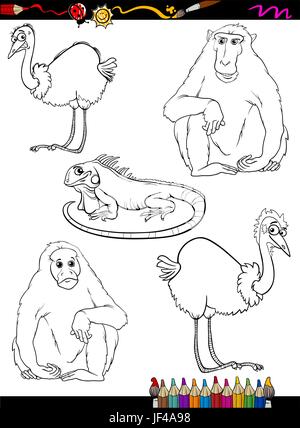 Animale, scimmia, illustrazione, iguana, struzzo, carattere, cartoon, ridere, Illustrazione Vettoriale