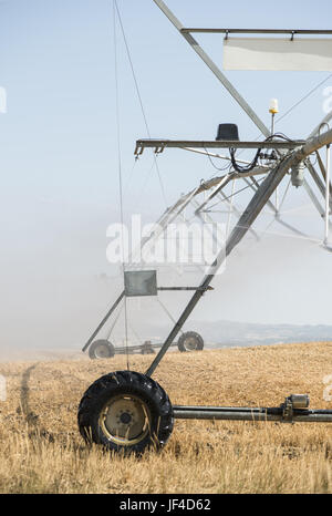 Irroratrici di irrigazione nel campo Foto Stock