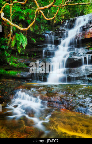 Colorate umide sempreverdi giungle intorno Somersby cascata di Australian Central Coast. Fluente sfocata flusso di acqua cade giù dalle rocce di arenaria per Foto Stock