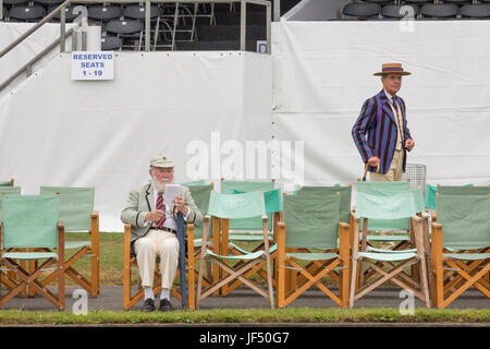 Henley, Oxfordshire, Regno Unito. Il 29 giugno, 2017. La folla era la luce per la prima dalle 08.30 gara della giornata presso il Royal Henley Regatta 2017. Questo gentiluomo ottiene sempre il suo precoce sedile accanto al fiume in steward Enclousure. Credito: Allan Staley/Alamy Live News Foto Stock