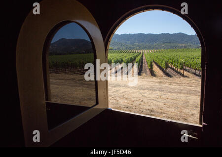 Filari di vigneti in Napa Valley sono riflesse nella finestra della Napa Valley Wine Train. Foto Stock