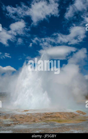 Geyser che erutta, il Parco Nazionale di Yellowstone, Wyoming usa da Bruce Montagne Foto Stock