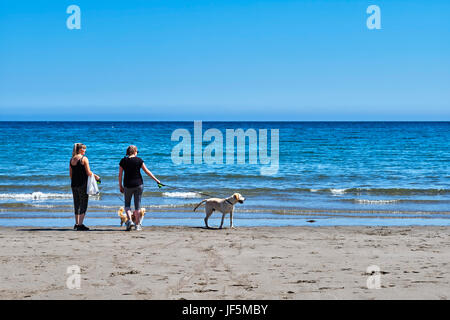 Due donne e due cani sulla spiaggia a Laxey Foto Stock