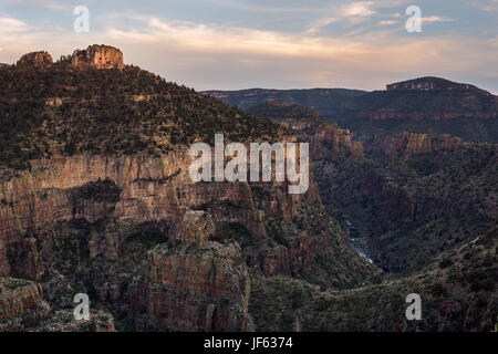 Sale River Canyon in Tonto National Forest, Arizona Foto Stock