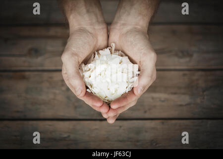 Scaglie di noce di cocco in mano mans, close-up Foto Stock