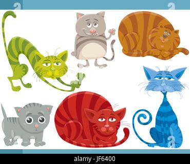 Pet, illustrazione, carattere, raccolta, cat baby, gattino, impostare, cartoni animati Illustrazione Vettoriale