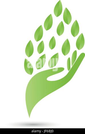 Mano, foglie, logogramma, massaggi, guaritore, fisioterapia, salutare, ortopedia, Illustrazione Vettoriale