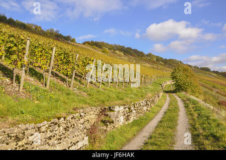 I vigneti di Ingelfingen, Germania Foto Stock