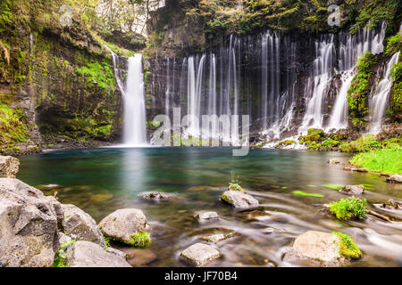 Shiraito Falls, Fujinomiya, Giappone. Foto Stock