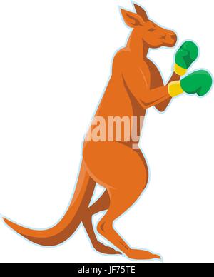 Kangaroo, guanti, boxer, boxe, isolato, grafica, animale, illustrazione Illustrazione Vettoriale