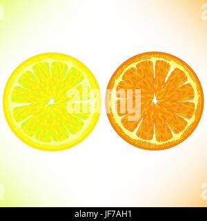 Limone ed arancia isolati su sfondo bianco Illustrazione Vettoriale