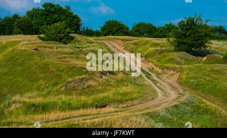 Auto su strada sterrata sul versante di una collina nella campagna Foto Stock