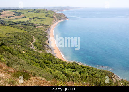 Seatown, Dorset visto dalla parte superiore della calotta d'Oro Foto Stock