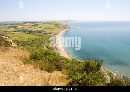 Seatown, Dorset visto dalla parte superiore della calotta d'oro è il punto più alto della costa sud. Foto Stock