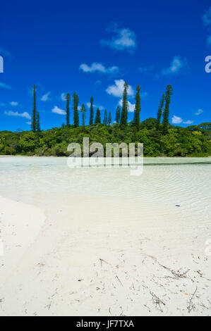 Baia de Oro, Ile des Pins, Nuova Caledonia, Melanesia, Sud Pacifico Foto Stock