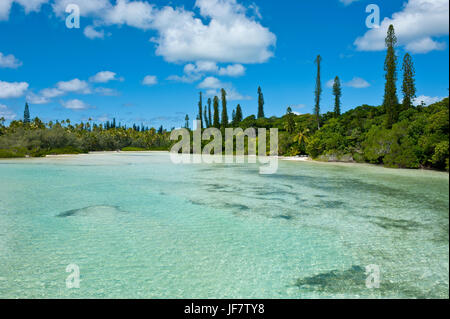 Baia de Oro, Ile des Pins, Nuova Caledonia, Melanesia, Sud Pacifico Foto Stock