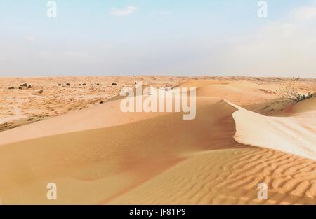 Nel deserto - Ras al-Khaimah Emirati Arabi Uniti Foto Stock