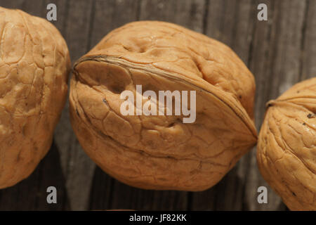 Juglans regia, noce Foto Stock