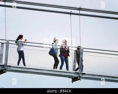 Ponte sospeso alla diga Rappbode nella catena montuosa di Harz, Sassonia-Anhalt, Germania, Europa Foto Stock