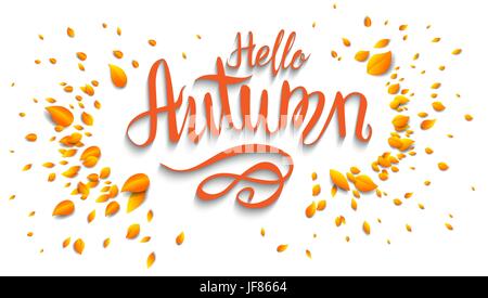 Ciao autunno banner Illustrazione Vettoriale